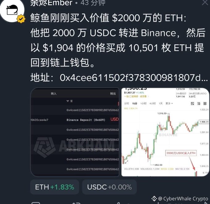 Chinese-language crypto news post about a whale purchasing $20 million worth of ETH (10,501 coins) at $1,904, with Arkham transaction screenshots.