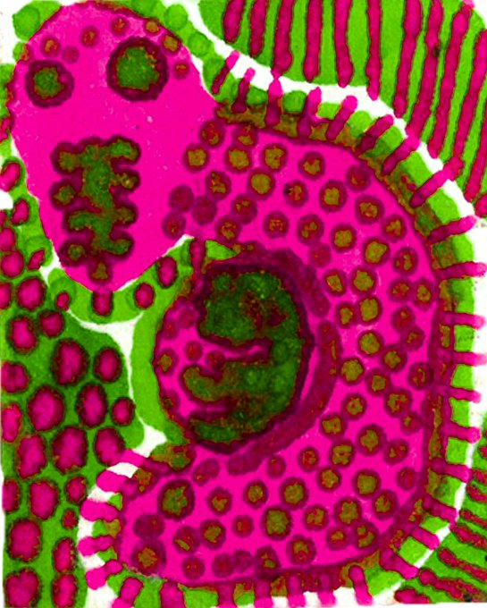 A false-color electron micrograph showing a cell with green-stained nuclei and surrounding tissue, paired with a caption about someone growing another [heart] — the image's cellular, organic appearance visually echoes the biological theme of growth and reproduction suggested by the post.