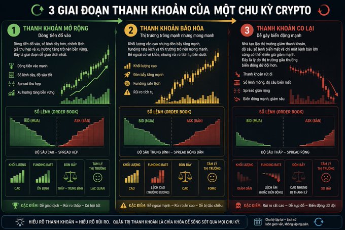 An infographic titled '3 GIAI ĐOẠN THANH KHOẢN CỦA MỘT CHU KỲ CRYPTO' (3 Liquidity Stages of a Crypto Cycle) detailing three phases: 'Thanh khoản mỏng' (Thin liquidity), 'Thanh khoản bao hòa' (Saturated liquidity), and 'Thanh khoản cơ lại' (Liquidity contraction), with accompanying candlestick charts and order book visualizations.