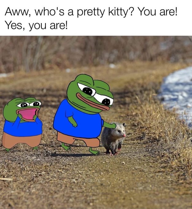 A meme captioned 'Aww, who's a pretty kitty? You are! Yes, you are!' shows two edited Pepe the Frog characters—one looking shocked and the other smiling while touching an opossum on a dirt path.