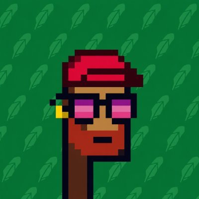 A pixel-art portrait of a bearded man with a red cap and pink-lensed sunglasses, representing "Don" (@0xDonCrypto), is set against a green leafy background as he invites others to join his Discord community for his $nova and $nebula crypto projects.