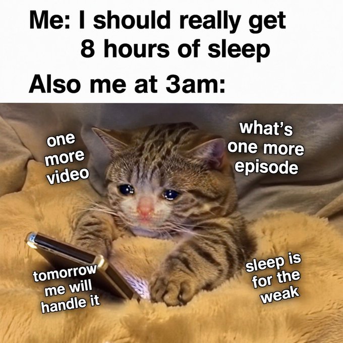 A relatable meme featuring a sad-looking cat with a phone in a blanket, captioned with the internal conflict of wanting 8 hours of sleep versus staying up for one more video or episode at 3am.