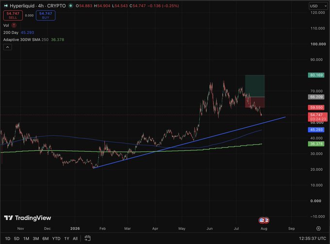 A TradingView candlestick chart for Hyperliquid (HYPE) on Crypto, showing price levels and technical indicators like 200 Day MA at 45.293 and Adaptive 300W SMA.