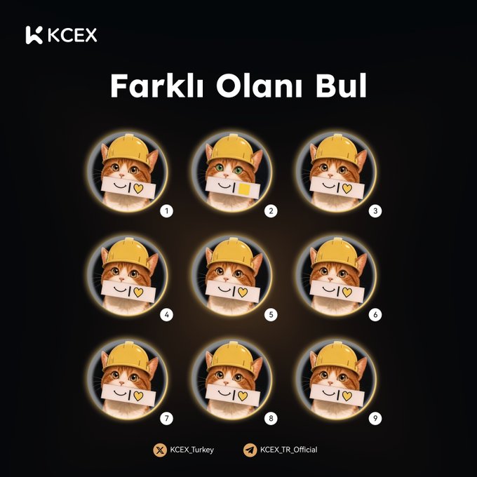 KCEX 'Farklı Olanı Bul' (Find the Different One) puzzle featuring nine cats in hard hats, where cat number 2 holds a yellow rectangle instead of a heart.