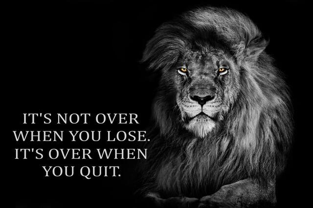 A motivational poster featuring a black-and-white image of a lion with piercing yellow eyes, accompanied by the text 'IT'S NOT OVER WHEN YOU LOSE. IT'S OVER WHEN YOU QUIT.'