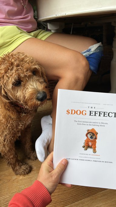 Hand holding a book titled '$DOG EFFECT' featuring a dog in an orange hoodie with text 'The first memecoin native to Bitcoin, born free in the halving block' and 'FORWARD BY LEGENDARY', with a real brown curly-haired dog lying beside the person.