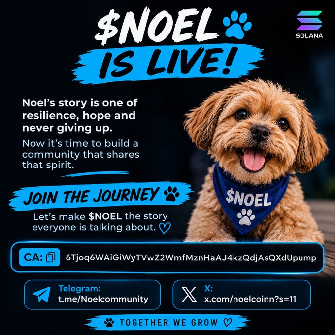 Promotional graphic for the $NOEL cryptocurrency token on Solana, featuring a brown dog wearing a blue '$NOEL' bandana. It includes the contract address, Telegram link (t.me/Noelcommunity), X link (x.com/noelcoinn?s=11), and tagline 'TOGETHER WE GROW'.