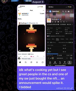 A screenshot of a Telegram post dated August 9 shows a tweet from 'pikachu63' and an OpenSea listing, with a message overlaid reading 'idk what's cooking yet but i see great people in the cs and one of my sw just bought the nft... an announcement would spike it. I bidded'.