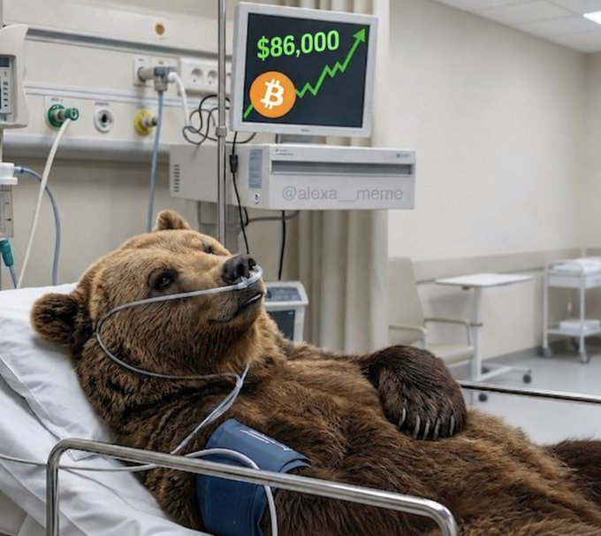 A meme showing a bear in a hospital bed with a monitor displaying "$86,000" with an upward arrow and the Bitcoin logo, watermarked @alexa__meme.