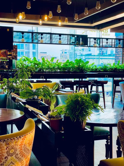 An interior view of a stylish restaurant or café with hanging Edison bulbs, abundant green plants, and colorful chairs by large windows.