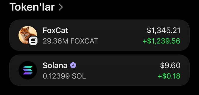 The image shows a cryptocurrency wallet with $1,345.21 worth of FOXCAT and $9.60 worth of Solana. This relates to the giveaway as it highlights the FOXCAT token.