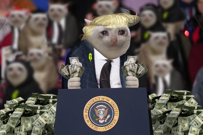 The image shows a digitally edited scene featuring a cat with blonde hair styled to resemble Donald Trump, wearing a suit and standing at a podium bearing the "Seal of the President of the United States." The cat holds stacks of cash while surrounded by piles of $100 bills, with a crowd of similarly styled cats wearing suits in the background. This visual satire aligns with the accompanying post about "Cash Cat," depicting an extravagant, money-obsessed feline figure whose "price keeps going up" despite advisors urging profit-taking.