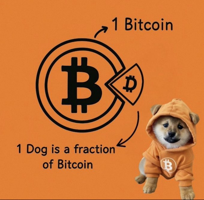 An orange infographic explaining cryptocurrency divisibility, showing '1 Bitcoin' with a Bitcoin symbol and a smaller piece, accompanied by a Shiba Inu puppy in an orange Bitcoin hoodie, captioned '1 Dog is a fraction of Bitcoin'.