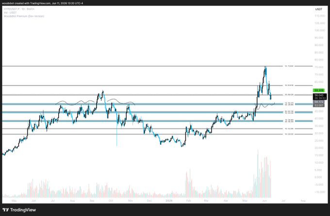 The image shows a chart with blue lines representing stock prices, indicating that the stock market has been fluctuating recently. A line graph displays the price of a particular stock over time, which can be used for analyzing trends or predicting future movements. The image also includes text that reads "I found my next snipe spot for $HYPE". This suggests that someone might have spotted an opportunity to make money by investing in this stock at the right moment.