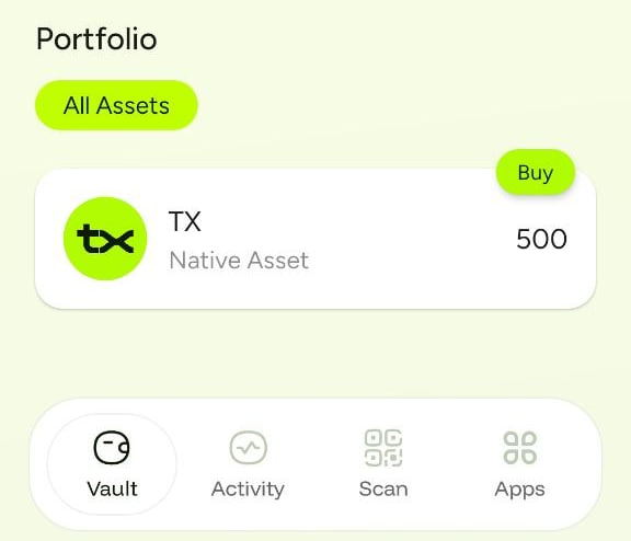 A crypto wallet portfolio screen showing 500 TX (Native Asset) with options for Vault, Activity, Scan, and Apps.