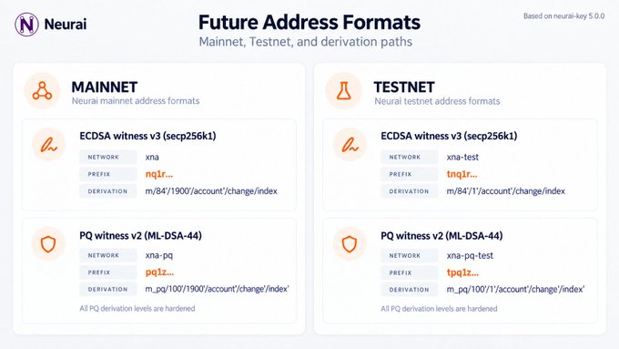 The image is a Neurai informational graphic titled "Future Address Formats" that outlines upcoming mainnet and testnet address formats, displaying ECDSA witness v3 (secp256k1) with "xna" network and "nq1r..." prefix, and PQ witness v2 (ML-DSA-44) with "xna-pq" network and "pq12..." prefix, alongside their respective derivation paths. The post accompanying the image highlights the integration of post-quantum addresses through the Positronic update, leveraging MLDSA44 via Authscript for optimized performance—directly referencing the PQ witness v2 (ML-DSA-44) address formats shown in the graphic.