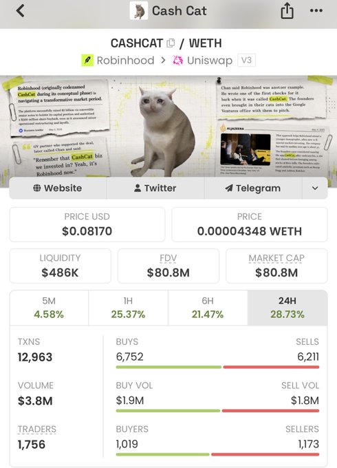 A cryptocurrency tracking app displaying statistics for the 'CASHCAT' token, showing a price of $0.08170 USD and market data including volume and transaction counts.