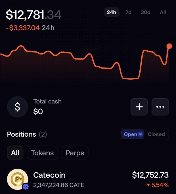 A portfolio dashboard displays a total value of $12,781.34 (down $3,337.04 in 24h) with the user's only open position being 2,347,224.86 CATE (Catecoin) valued at $12,752.73, down 5.54%. The image directly illustrates the poster's $12K "ape" into Catecoin, backing their bullish claim that the memecoin will reach a $10 billion market cap this cycle.