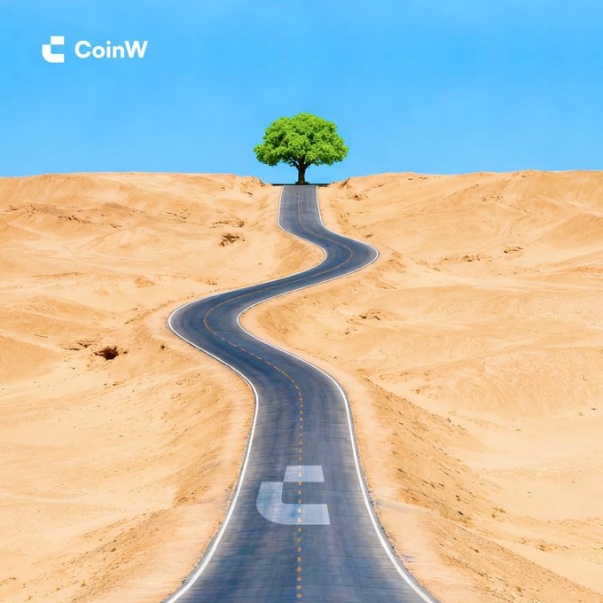 A winding road through a sandy desert landscape leading toward a lone tree, with the "CoinW" logo in the upper left.