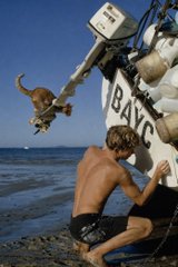 A low-resolution photo of a shirtless person on a beach next to a boat marked 'BAYOU', with a monkey hanging from the boat's motor.