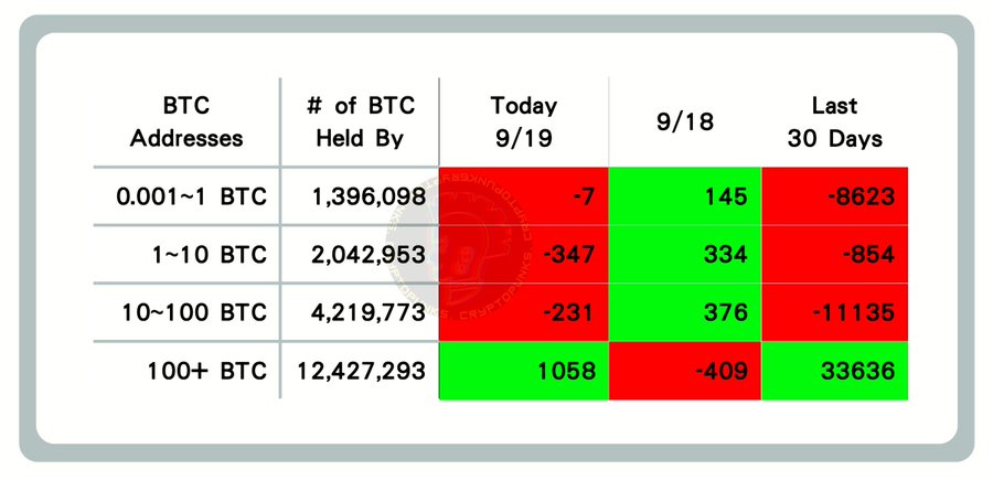Bitcoin on-chain data from 9/19 shows whales with 100+ BTC accumulating 1,058 coins while smaller holders (0.001-100 BTC) offloaded 585 BTC combined, highlighting notable divergence between large and small wallet activity over the past 30 days.
