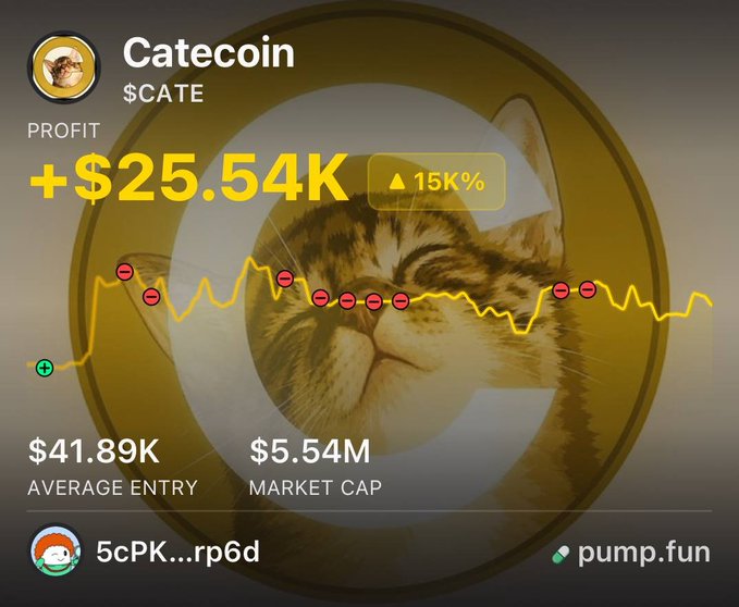 The image shows a CATEcoin ($CATE) trading dashboard featuring a cat's face on a yellow coin, displaying a profit of +$25.54K with a 15K% gain, a $41.89K average entry, and a $5.54M market cap. The data illustrates a trader's 150x return on $CATE, consistent with the accompanying post highlighting the impressive profit from a small initial investment.