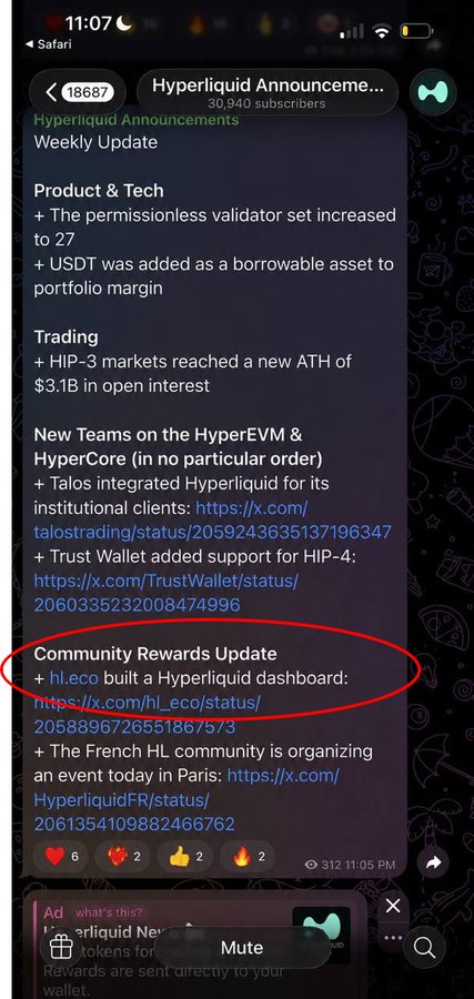 ?"This is a conversation about an old airdrop that has been retired by early users who have used most of its value", "The image shows a group of symbols, including 'HYP', 'EVM', 'HPC', 'Nansen Validator' and 'Hypurr NFT', which are related to the hypersonic trading market", "There is a discussion about trade & tech updates on Hyperliquid.org".