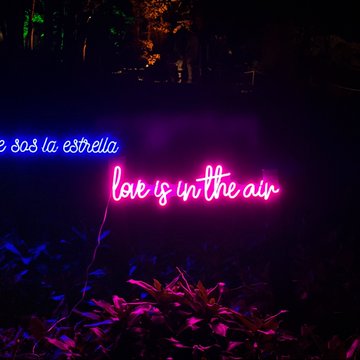 A glowing pink neon sign reading "love is in the air" with a partially visible blue sign saying "sos la estrella" illuminates lush tropical foliage at night, matching the romantic "date in spring Venice" mood referenced in the post about a 124 XTZ purchase.