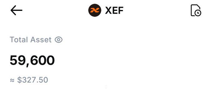 A screenshot of the XEF token wallet shows a total asset balance of 59,600 tokens, valued at approximately $327.50, visually confirming the post's claim of a rapid gain from $231 to $327 within 24 hours.