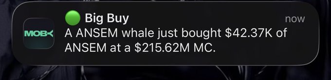 A notification from MobK with the header "Big Buy" reports that a whale just purchased $42.37K of the memecoin $ANSEM at a $215.62M market cap, reinforcing the post's theme of whales "doubling down" on the token with a sizable accumulation.