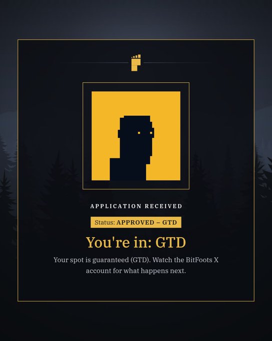 An approval confirmation screen showing 'APPLICATION RECEIVED' with status 'APPROVED - GTD' for the BitFoots X project, stating 'You're in: GTD'.