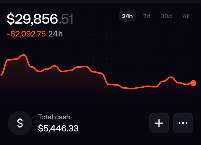 A dark financial dashboard showing a portfolio value of $29,856.51 with a 24h loss of -$2,092.75, displayed as a red line chart trending downward, with a total cash balance of $5,446.33.
