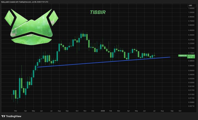 A weekly candlestick chart of TIBBIR/USD showing a sustained uptrend from March 2025 through July 2026, with a blue trendline connecting a series of higher lows and price consolidating near $0.13500, visually supporting the post's claim of consecutive higher highs and higher lows.