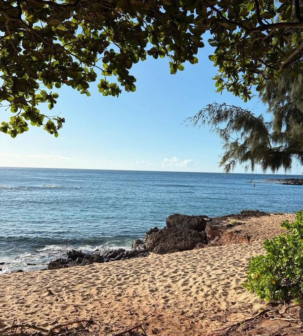 A serene view of a sandy beach with rocky outcrops, framed by tree branches with green leaves hanging from the top, under a clear blue sky.
