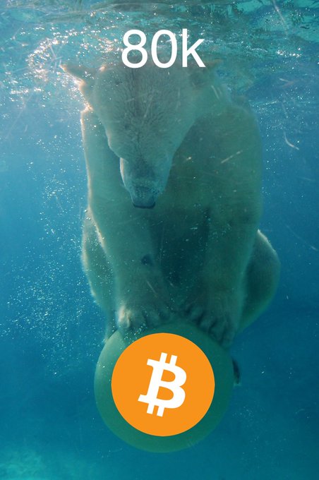A polar bear is submerged underwater with the text '80k' displayed at the top and a Bitcoin logo at the bottom.