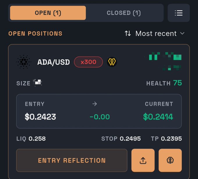 An open positions dashboard showing an ADA/USD position at x300 leverage with an entry price of $0.2423 and a current price of $0.2414.