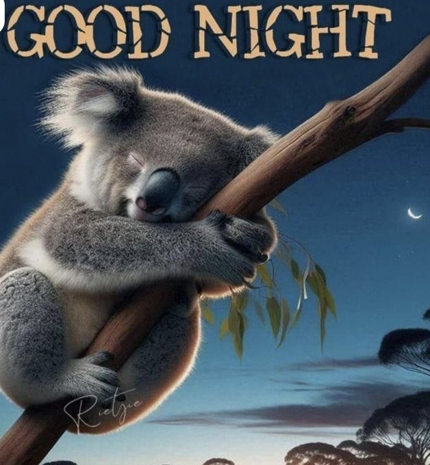 The image features a koala bear sitting on a tree branch with its arms wrapped around itself while sleeping. The background of the image shows a blue sky, trees, and clouds. The caption below the image reads "Good Night" and includes a logo for Polymarket and a logo for base.