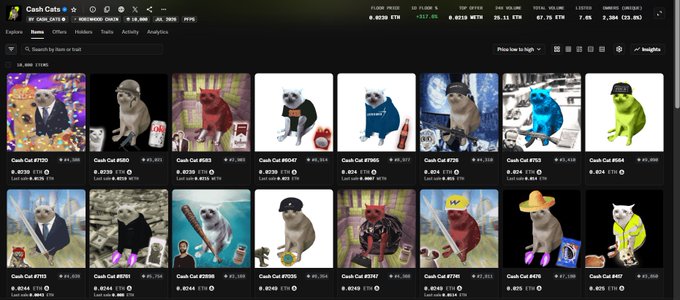 A screenshot of the "Cash Cats" NFT collection on OpenSea, displaying the floor price at 0.024 ETH and 24-hour volume at 39.11 ETH, with individual listings (Cash Cat #5720 through #5737) priced between 0.0233 and 0.0247 ETH. The image visually confirms the post's claim about the 0.024 ETH floor price and the holder's collection of multiple Cash Cat NFTs.