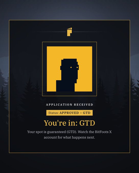 A digital application confirmation graphic stating 'APPLICATION RECEIVED - Status: APPROVED – GTD' with a pixel-art character logo and text 'You're in: GTD' for BitFoots X.