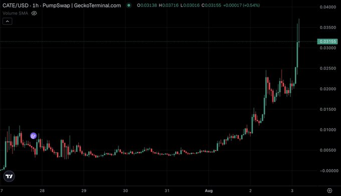 The image is a GeckoTerminal price chart for the CATE/USD trading pair on PumpSwap, displayed on a 1-hour timeframe, showing a sharp upward trend with the token's price surging to $0.03156 (+0.54%) after extended consolidation. The dramatic breakout aligns with the post's claim of CATE setting a new all-time high and gaining momentum following KOL PoorGoat's article coverage.