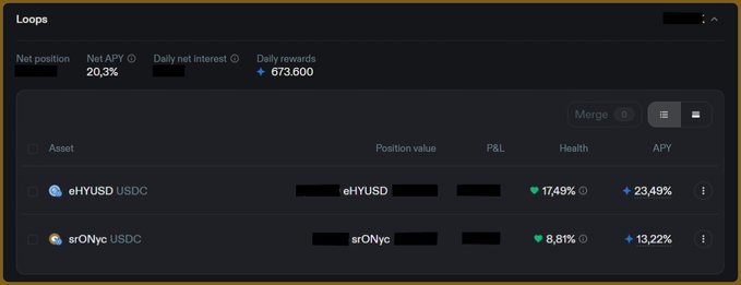 A dark-mode interface showing a 'Loops' financial dashboard with a net APY of 20.3% and daily net interest of 673.600, listing assets 'eHYUSD USDC' and 'srONyc USDC' with their respective APYs.