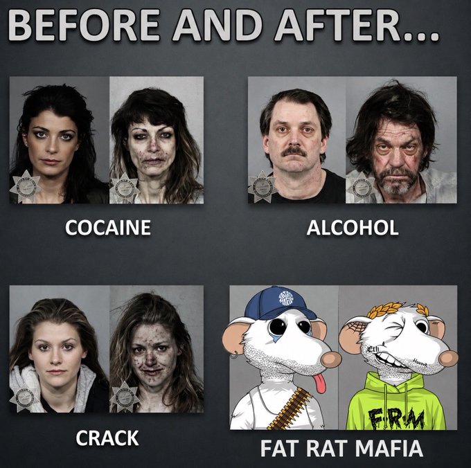 A four-panel 'Before and After' meme showing the destructive effects of cocaine, alcohol, and crack on people's appearances, while the fourth panel humorously shows cartoon rat characters from 'Fat Rat Mafia' before and after joining, with the after image wearing a green 'FRM' hoodie.