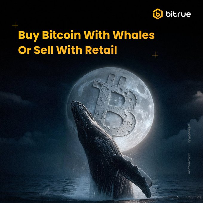 A Bitrue promotional graphic features a breaching whale silhouetted against a full moon engraved with the Bitcoin "₿" symbol, accompanied by the headline "Buy Bitcoin With Whales Or Sell With Retail," visually reinforcing the post's contrast between whale accumulation and retail selling of BTC.