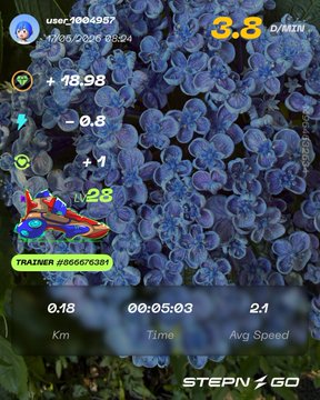 The image shows a fitness app with a large screen displaying a flowery background, possibly representing a garden or field of flowers. The app has a timer feature that tracks the user's progress during their workout sessions. There are also icons for different types of exercises on the app, such as running and cycling.
