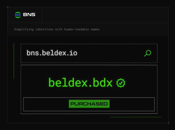 A screenshot showing the BNS service with the domain 'bns.beldex.io' resolved to 'beldex.bdx' marked as PURCHASED.