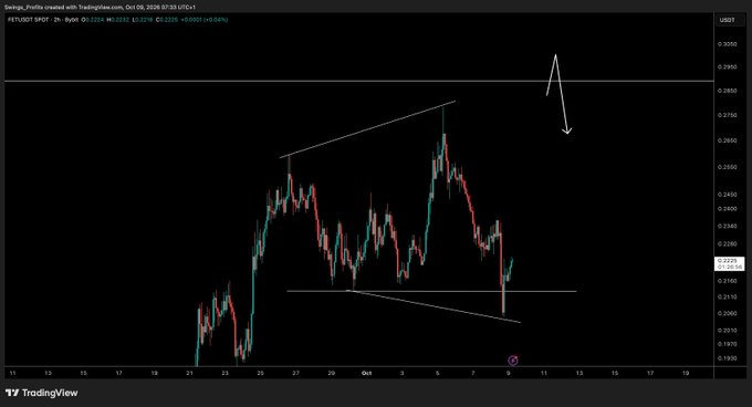 A TradingView 2-hour chart of FET/USDT on Binance shows price forming a descending channel between approximately $0.2250 and $0.2700, with the recent dip toward the lower support line at $0.2253 (currently -0.04%) being viewed as a healthy pullback, consistent with the post's bullish outlook that the dip looks attractive provided BTC cooperates.