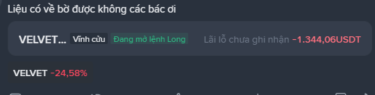 A trading screenshot in Vietnamese asking 'Liệu có về bờ được không các bác ơi' showing VELVET token with a -24.58% loss and an unrealized loss of -1,344.06 USDT on a long position order.