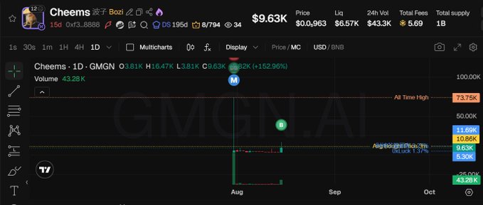 A chart from DexScreener showing Cheems (DMGN) on BSC trading around $3.81 with 16.47% gains, $43.28K volume, and a market cap of $9.63K, visually supporting the post's bet on the OG Cheems token at contract address 0xf3ebd62a9e411689c8da237b86ecd91623a98888.