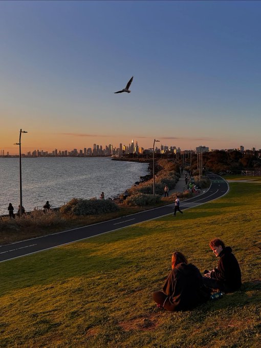 Two people sit on a grassy hill overlooking a waterfront path and a city skyline at sunset, while another bird flies across the sky in the foreground.