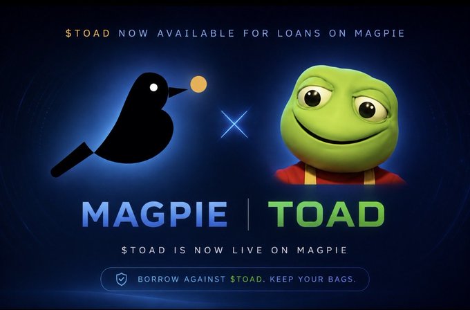 The image is a promotional graphic announcing that **$TOAD is now available for loans on Magpie**, featuring Magpie's bird logo alongside a green cartoon toad mascot, with the tagline "Borrow against $TOAD. Keep your bags."